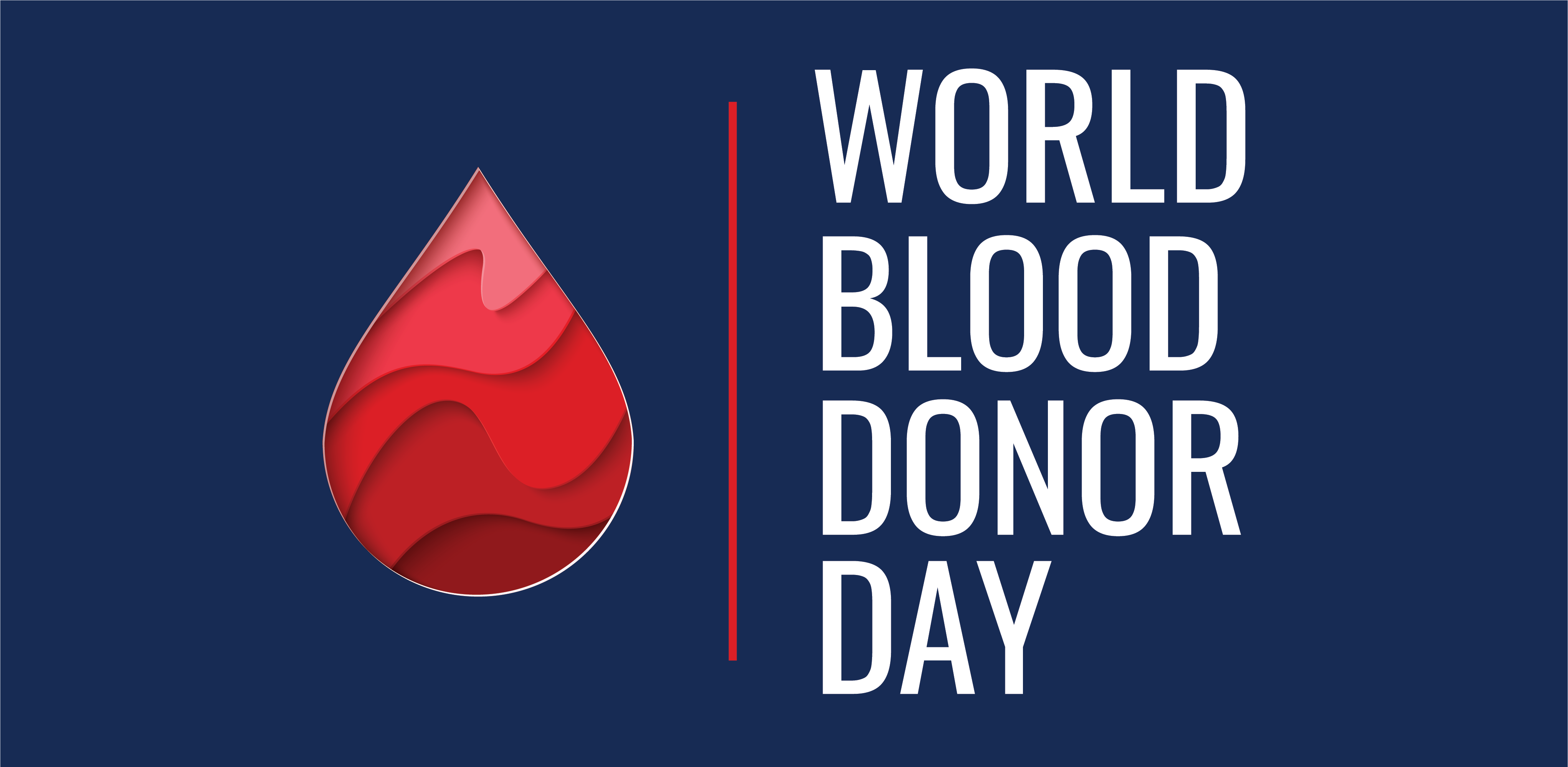 Choosing solidarity on World Blood Donor Day | The Advocator Group